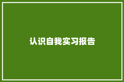 认识自我实习报告