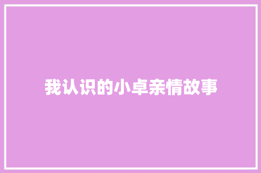 我认识的小卓亲情故事 工作总结范文