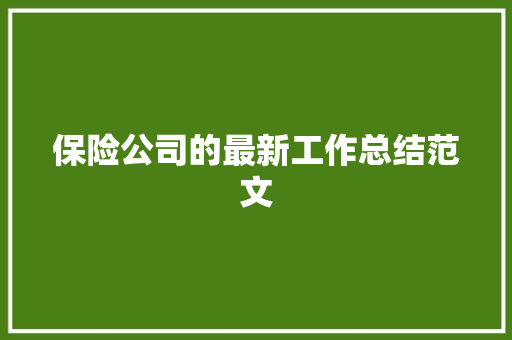 保险公司的最新工作总结范文 报告范文