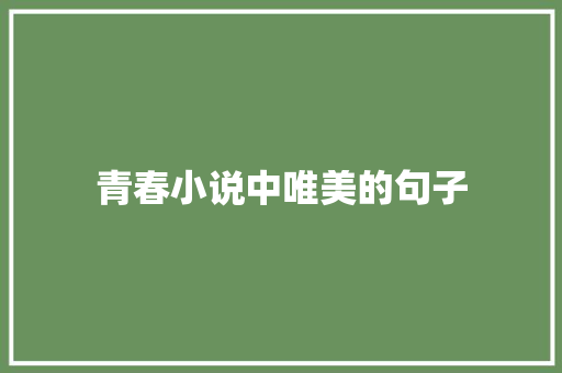 青春小说中唯美的句子