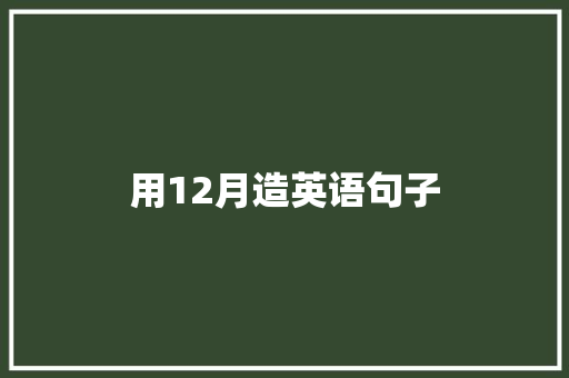 用12月造英语句子