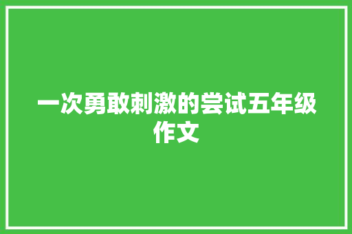 一次勇敢刺激的尝试五年级作文