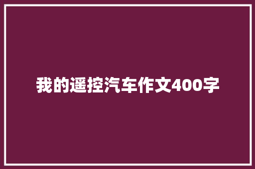 我的遥控汽车作文400字