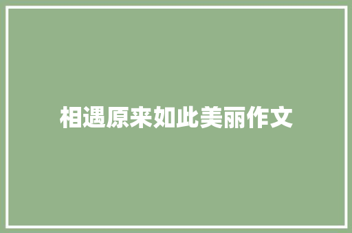 相遇原来如此美丽作文