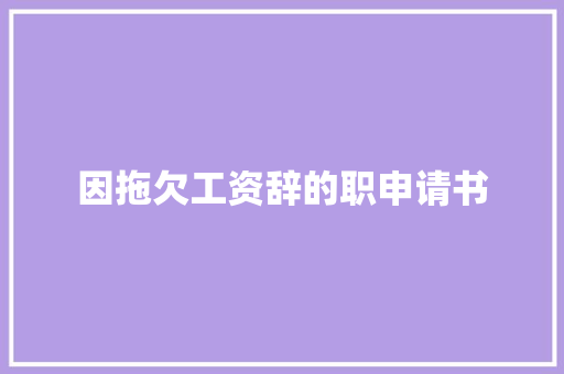 因拖欠工资辞的职申请书