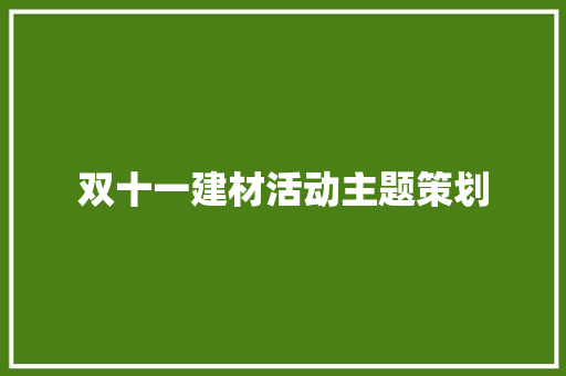 双十一建材活动主题策划