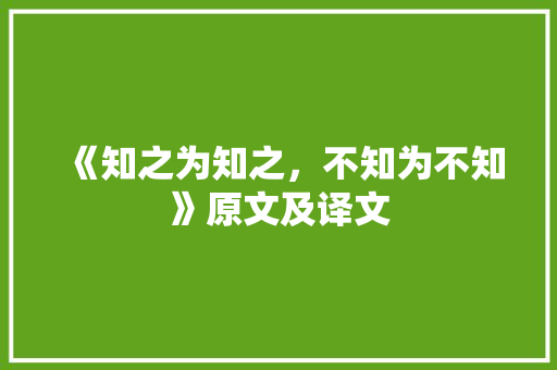 《知之为知之，不知为不知》原文及译文