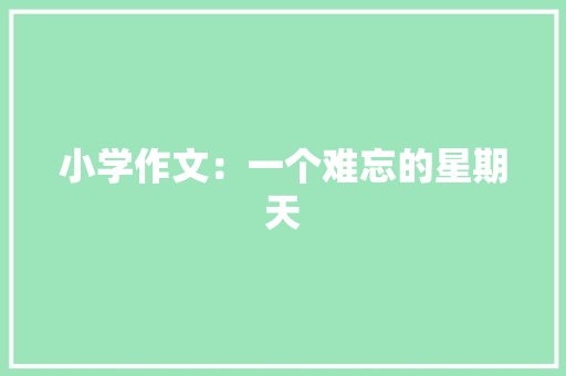 小学作文：一个难忘的星期天