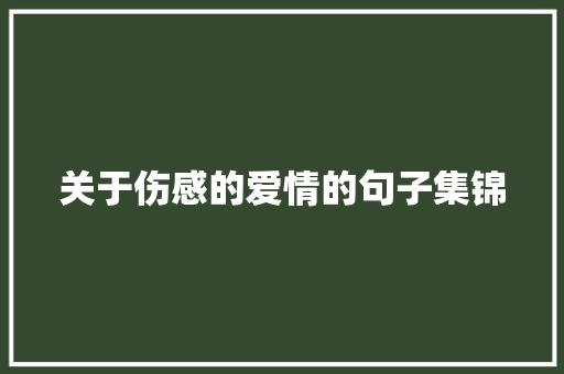 关于伤感的爱情的句子集锦 报告范文