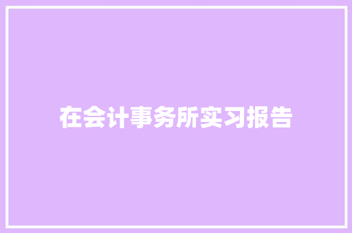 在会计事务所实习报告 职场范文