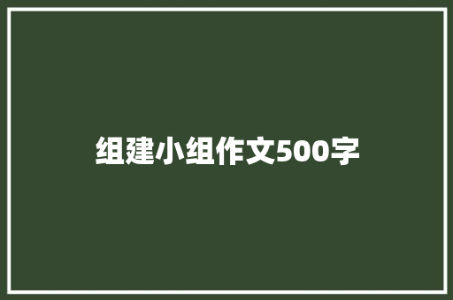 组建小组作文500字