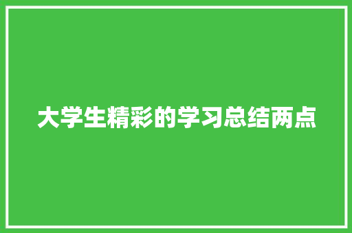 大学生精彩的学习总结两点 职场范文