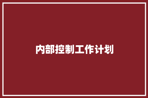 内部控制工作计划