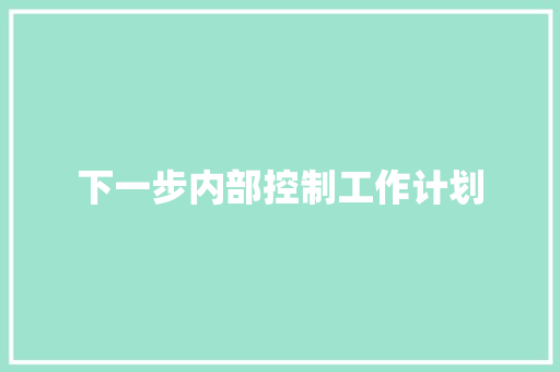 下一步内部控制工作计划