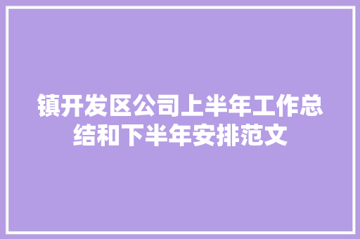 镇开发区公司上半年工作总结和下半年安排范文 学术范文