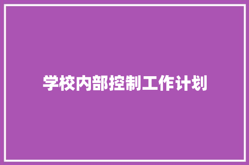 学校内部控制工作计划