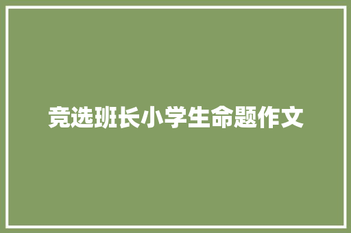 竞选班长小学生命题作文 工作总结范文