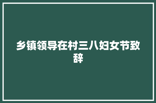 乡镇领导在村三八妇女节致辞