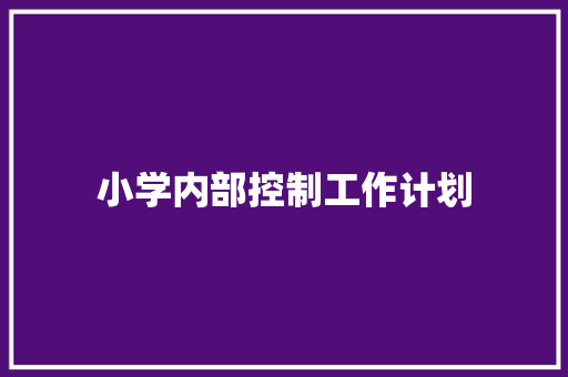 小学内部控制工作计划