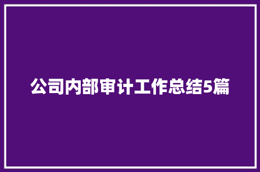 公司内部审计工作总结5篇