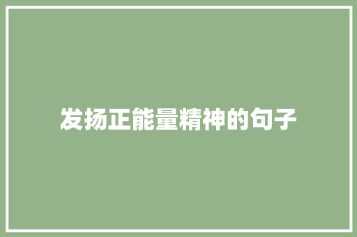 发扬正能量精神的句子 学术范文