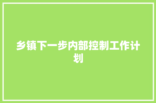 乡镇下一步内部控制工作计划