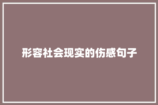 形容社会现实的伤感句子