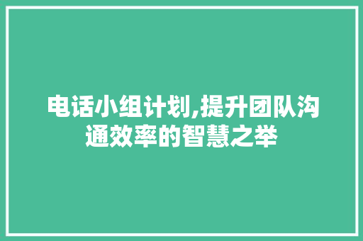 电话小组计划,提升团队沟通效率的智慧之举