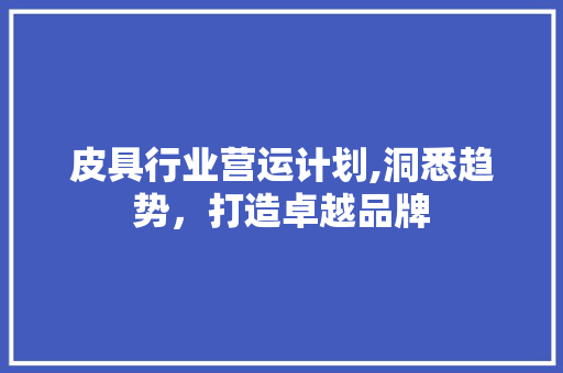 皮具行业营运计划,洞悉趋势，打造卓越品牌