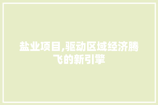 盐业项目,驱动区域经济腾飞的新引擎