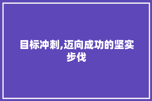 目标冲刺,迈向成功的坚实步伐