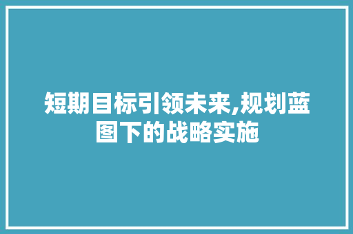 短期目标引领未来,规划蓝图下的战略实施