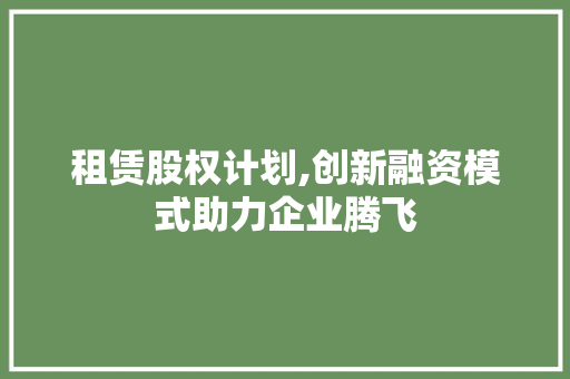 租赁股权计划,创新融资模式助力企业腾飞