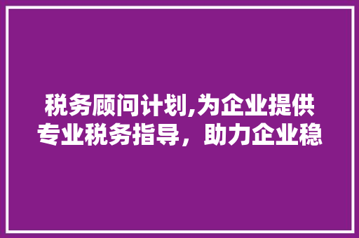 税务顾问计划,为企业提供专业税务指导，助力企业稳健发展