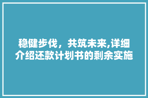 稳健步伐，共筑未来,详细介绍还款计划书的剩余实施步骤