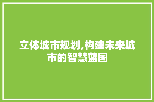 立体城市规划,构建未来城市的智慧蓝图