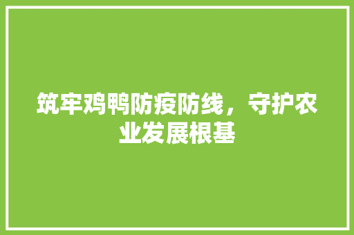 筑牢鸡鸭防疫防线，守护农业发展根基