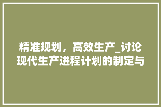 精准规划，高效生产_讨论现代生产进程计划的制定与实施