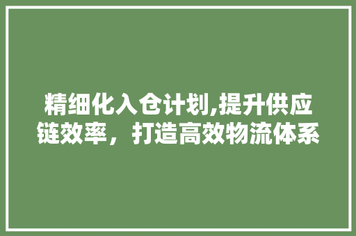 精细化入仓计划,提升供应链效率，打造高效物流体系