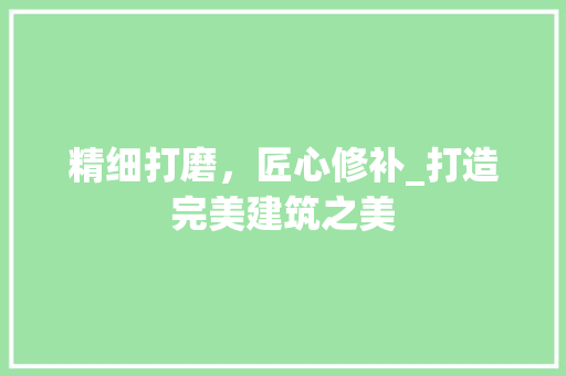 精细打磨，匠心修补_打造完美建筑之美