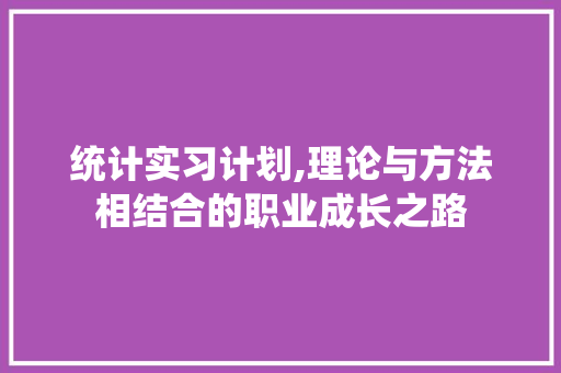 统计实习计划,理论与方法相结合的职业成长之路