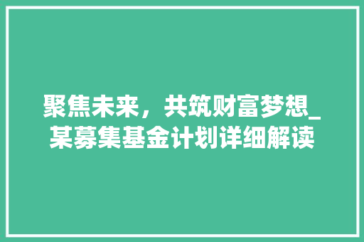 聚焦未来，共筑财富梦想_某募集基金计划详细解读