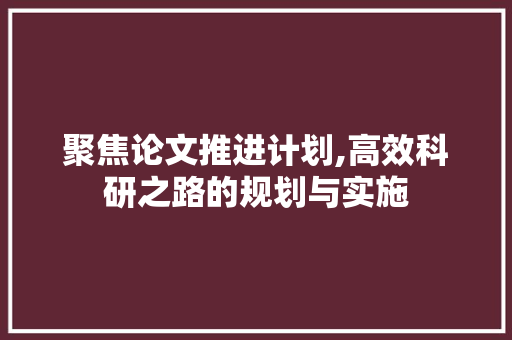 聚焦论文推进计划,高效科研之路的规划与实施