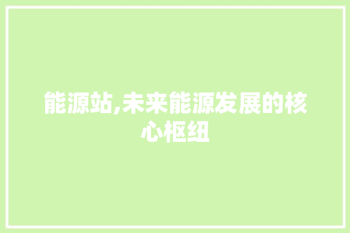 能源站,未来能源发展的核心枢纽