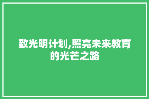 致光明计划,照亮未来教育的光芒之路