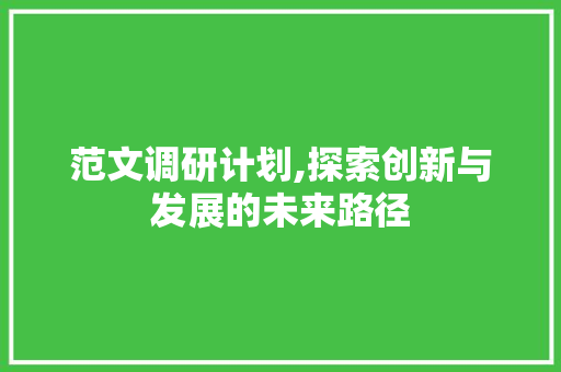 范文调研计划,探索创新与发展的未来路径