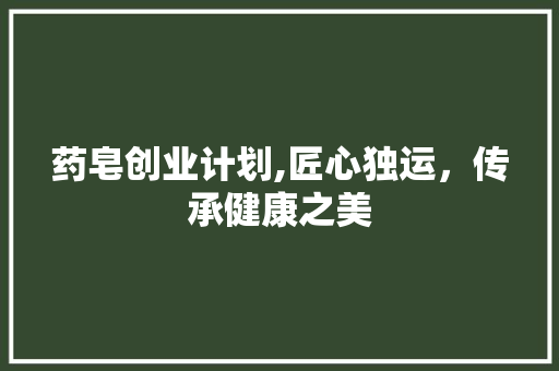 药皂创业计划,匠心独运，传承健康之美