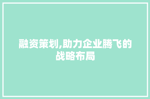 融资策划,助力企业腾飞的战略布局