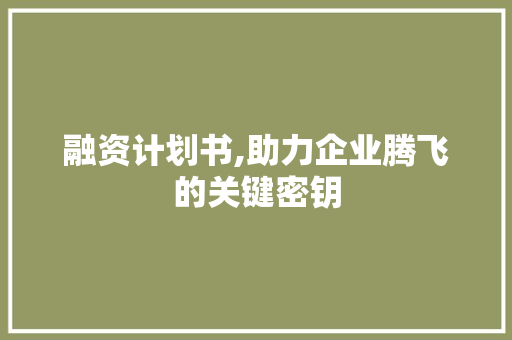 融资计划书,助力企业腾飞的关键密钥