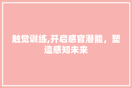 触觉训练,开启感官潜能，塑造感知未来